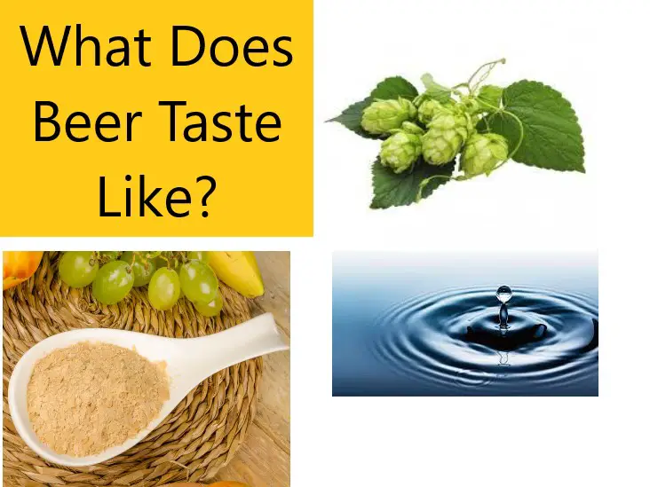What Does Beer Taste Like?