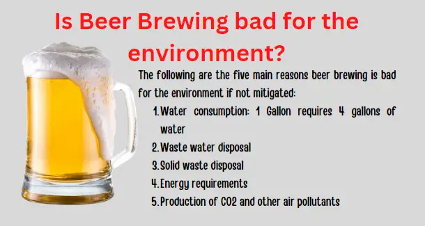 Is brewing beer bad for the environment?