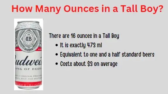 Tall Boy History, oz. & Price: How Many Ounces in a Tall Boy?
