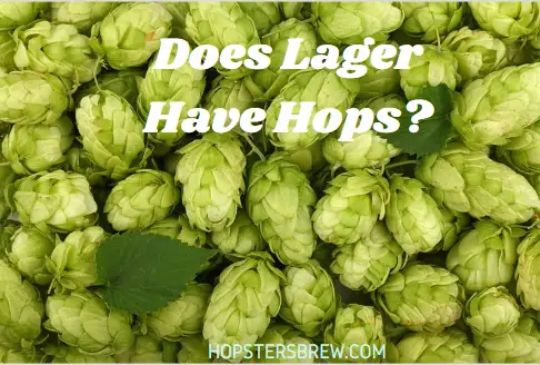Does a lager have hops?