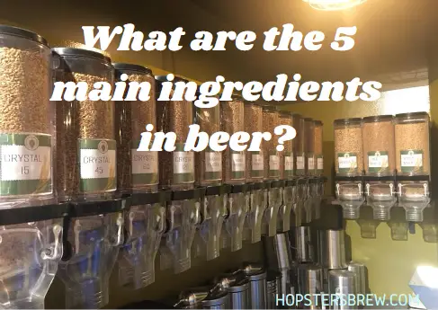 What are the 5 Main Ingredients in Beer?