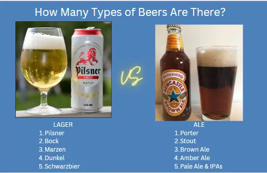 How Many Types of Beers Are There? Over 100 sub-styles of beer