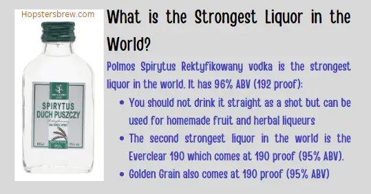 Polmos Spirytus Rektyfikowany vodka: The Strongest Liquor in the World?