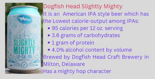 Dogfish Head Slightly Mighty- 95 calories