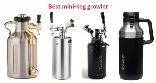Best Mini-Keg Growler: 5 of the best pressurized beer growlers